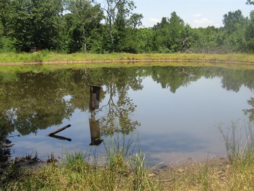Golden Dove Road Recreational Hunti : Garvin : McCurtain County : Oklahoma