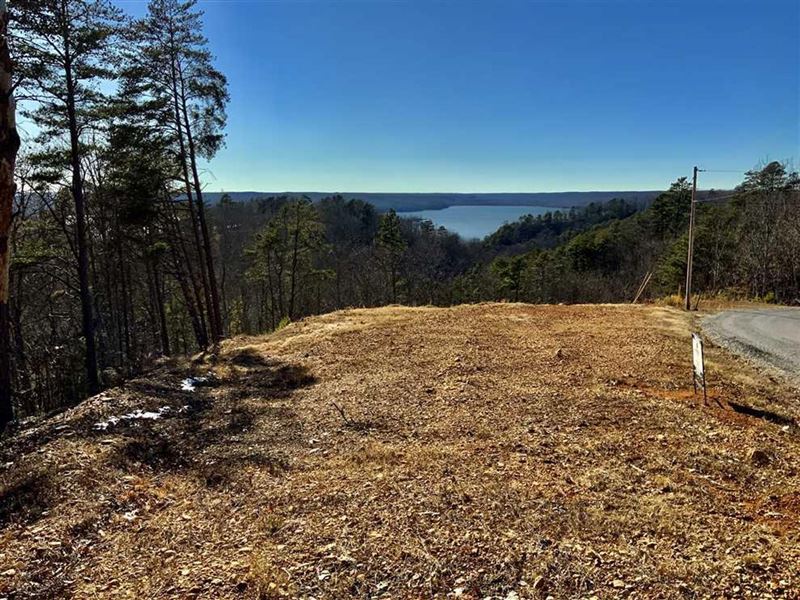 Incredible View of Kentucky Lake fr : Waverly : Humphreys County : Tennessee