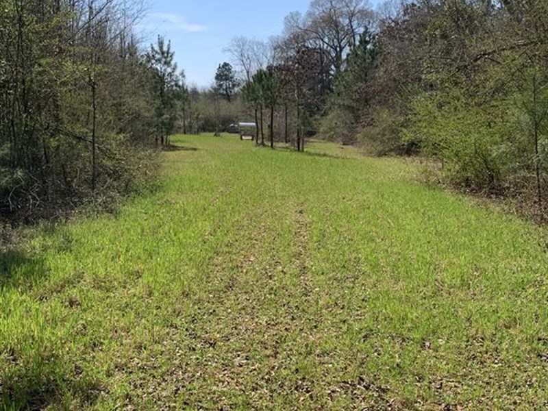 34 Acre Mini Farm in Great Location : Buena Vista : Marion County : Georgia