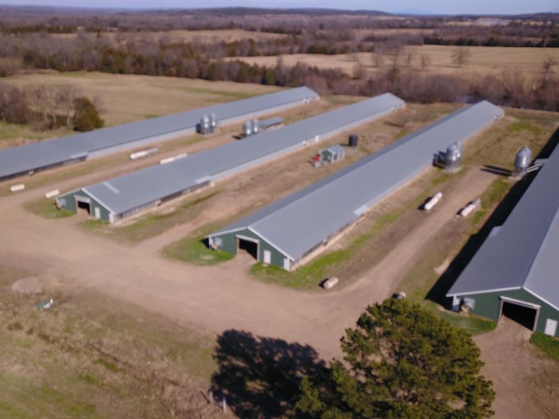 Broiler Farm in Western Arkansas : Mansfield : Franklin County : Arkansas