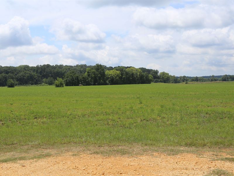 Alabama River Property, Farm for Sale in Alabama, 270798 FARMFLIP