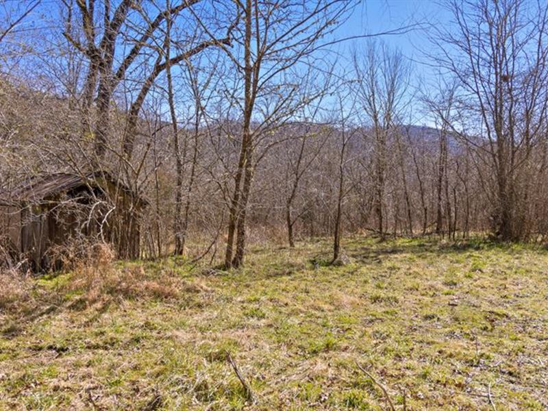 850 +/- Acres in North Georgia : Trenton : Dade County : Georgia