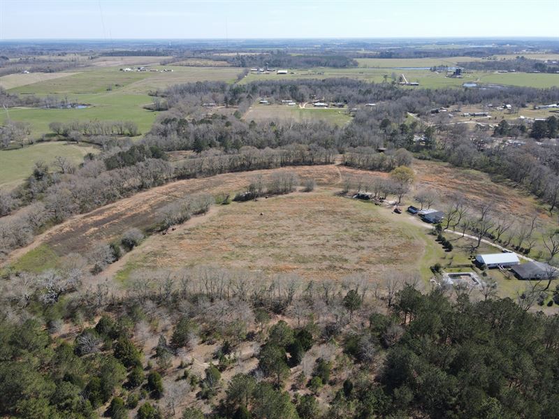 Land For Sale 39Ac Mol Farm for Sale in Webb, Houston County, Alabama
