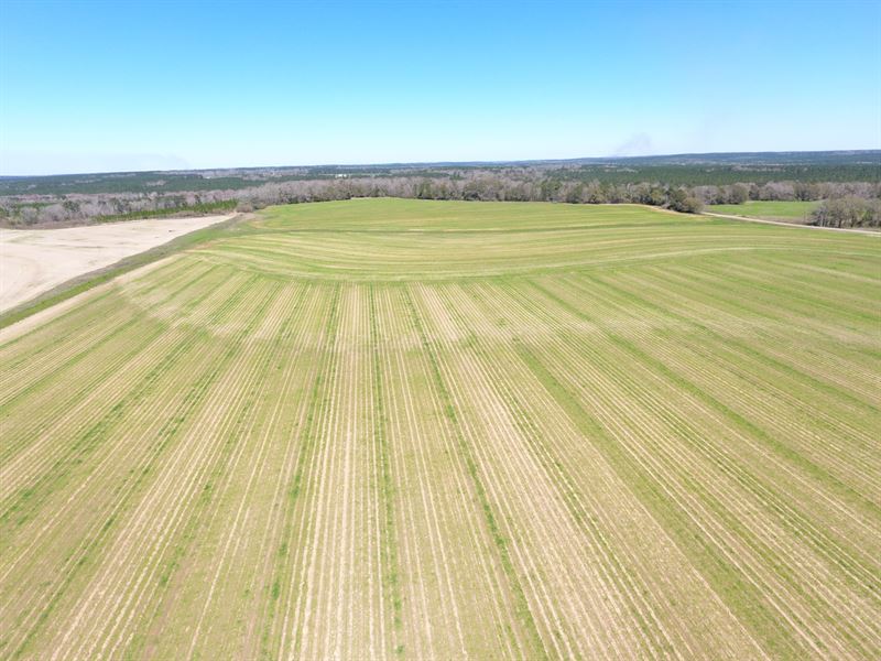 62 Acres Rowcrop Land/Homesite, Farm for Sale in Alabama, 271012