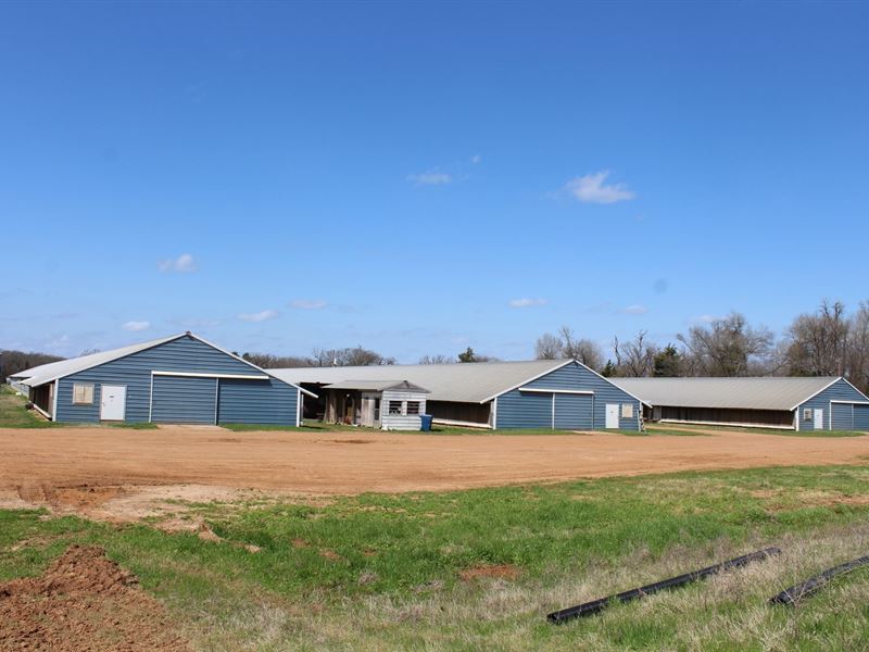 Poultry Farm, Como, Texas, Wood, Farm for Sale in Texas, 271087 FARMFLIP
