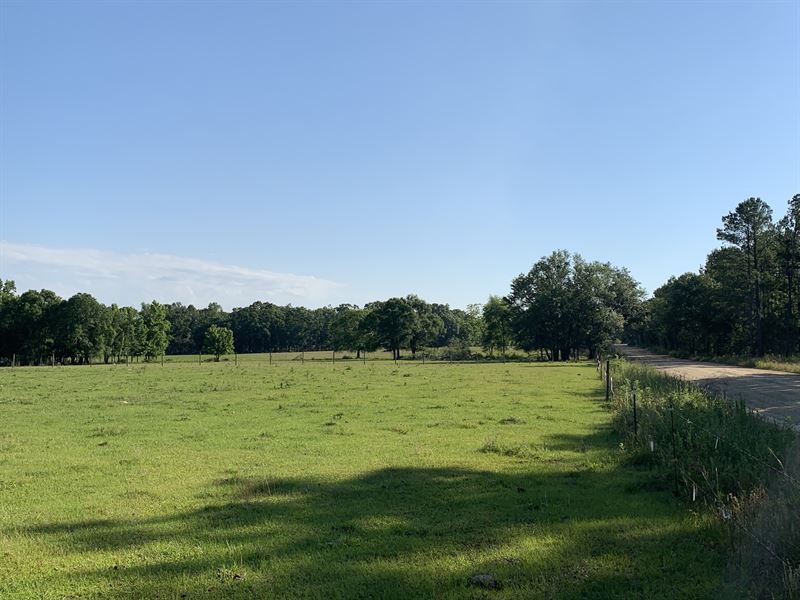 Beautiful Small Cattle Farm Pasture, Farm for Sale in 271142 FARMFLIP