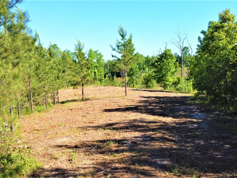 Nice Corner Lot for Sale : Sugar Tree : Decatur County : Tennessee