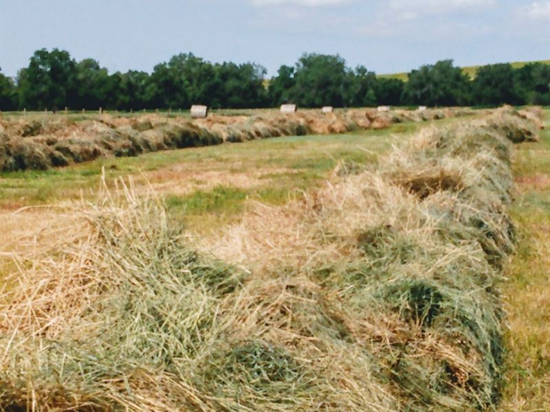 Nebraska Hard Grass Ranch, Farm for Sale in Nebraska, 271347 FARMFLIP