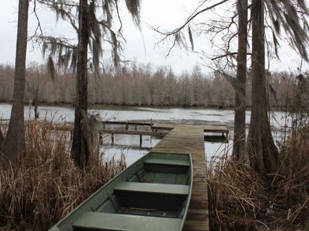 Lake Blackshear Preserve : Lake Blackshear : Sumter County : Georgia