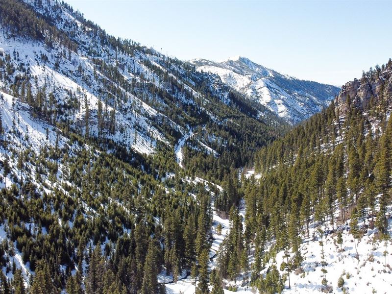 Cramer Creek Land, Farm for Sale in Montana, 271416 FARMFLIP