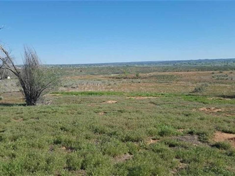 Land for Sale in Cortez Colorado : Cortez : Montezuma County : Colorado