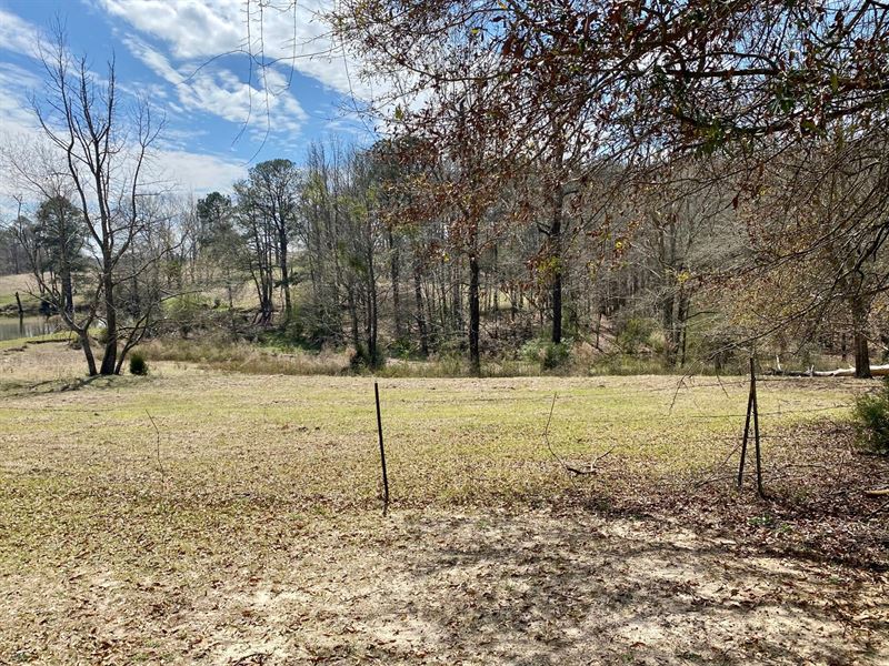 22 Acres Crenshaw County / Highland Farm for Sale in Highland Home