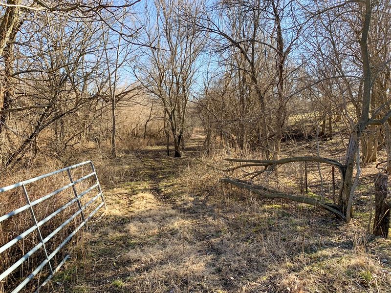 Heavily Timbered Hunting Tract Farm for Sale in Albia, Monroe County, Iowa 271888 farmflip