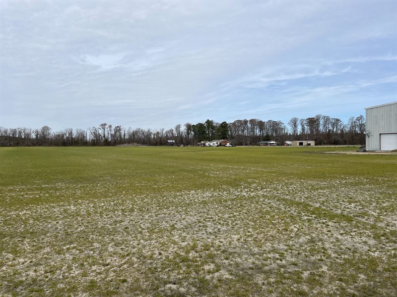 Farmland Timberland in Roper, NC, Farm for Sale in North Carolina