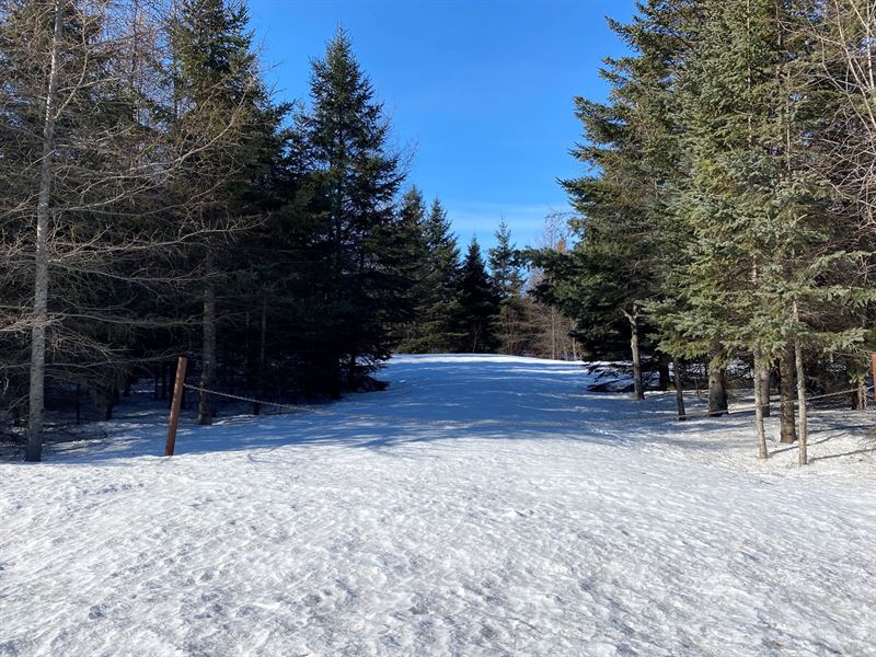 High Quality Land for Sale Maine : Fort Fairfield : Aroostook County : Maine