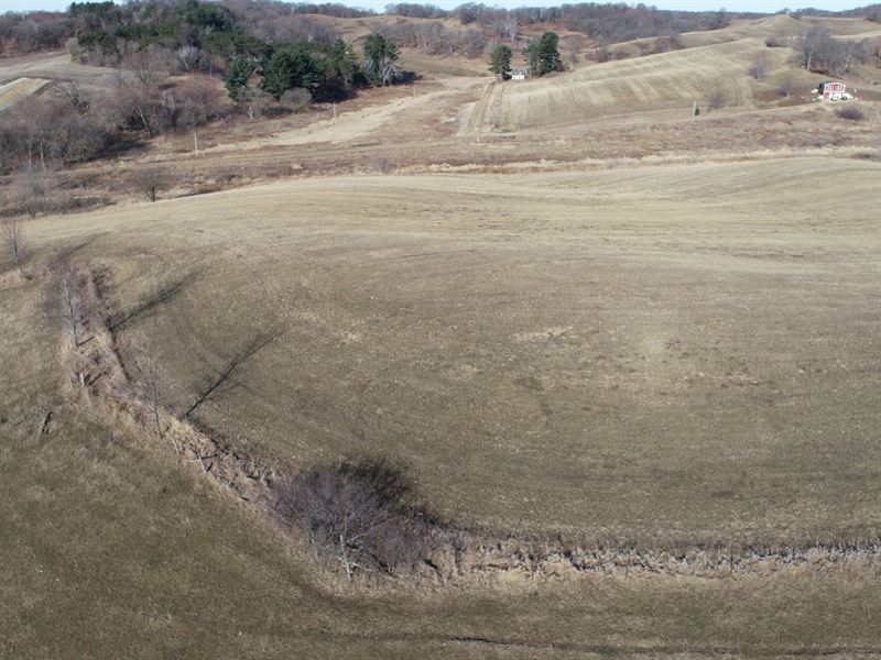 45 Acres Eau Claire County, WI, Farm for Sale in Wisconsin, 272059