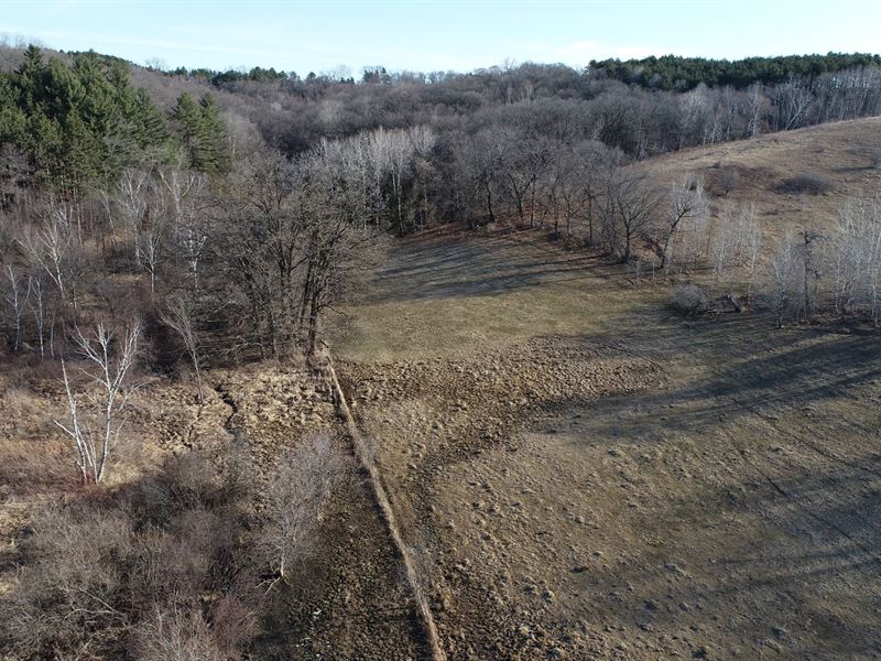 35 Acres Eau Claire County, WI, Farm for Sale in Wisconsin, 272061
