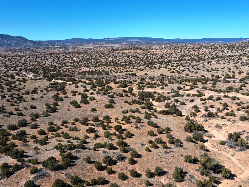 5 Acres in El Rito Estates, NM Farm for Sale by Owner in Abiquiu, Rio