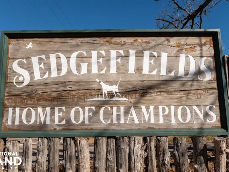 Sedgefield : Safford : Dallas County : Alabama