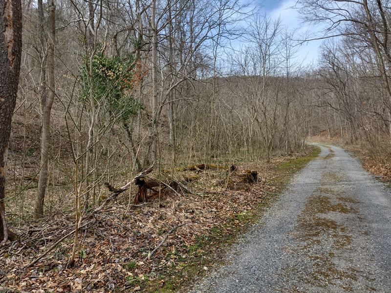 Large Recreational Property Narrows, Farm for Sale in Virginia, 272125