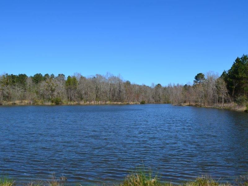 Macon County Farm, Farm for Sale in Alabama, 272289 FARMFLIP