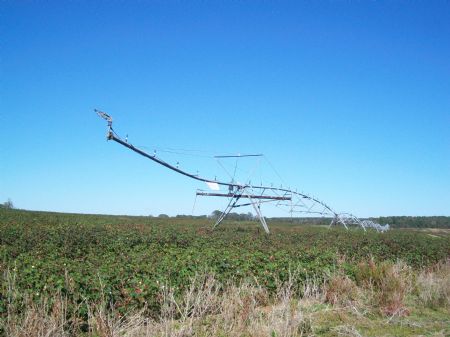 Productive Irrigated Farm : Cochran : Bleckley County : Georgia