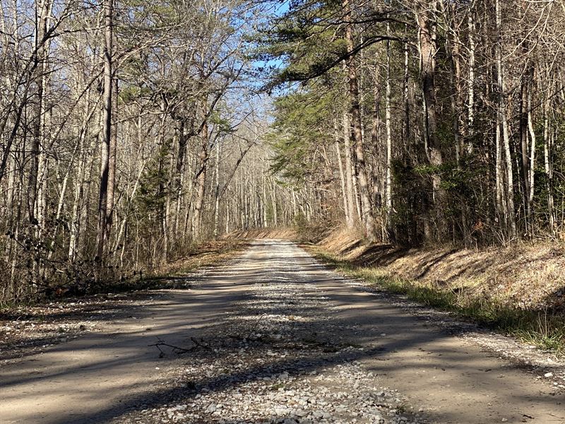 Owner Financing Land : Somerset : Pulaski County : Kentucky