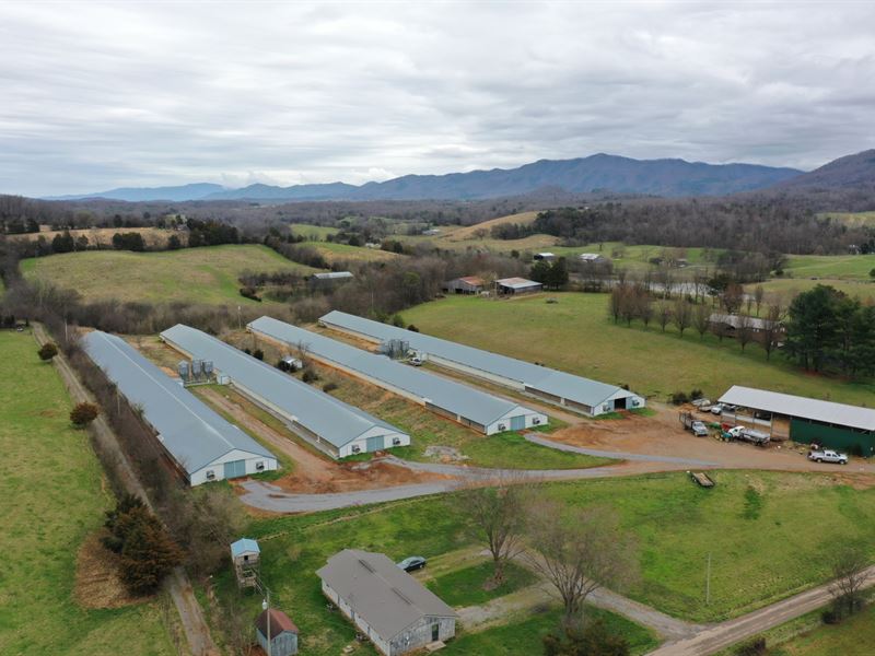 Smoky Mountain Poultry Farm : Parrottsville : Cocke County : Tennessee