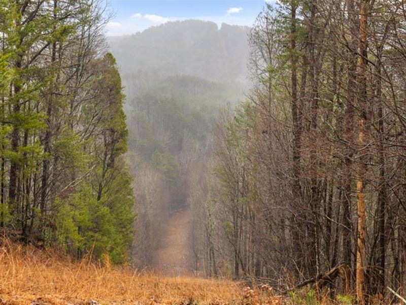 North GA Recreational Acreage, Farm for Sale in 272594 FARMFLIP