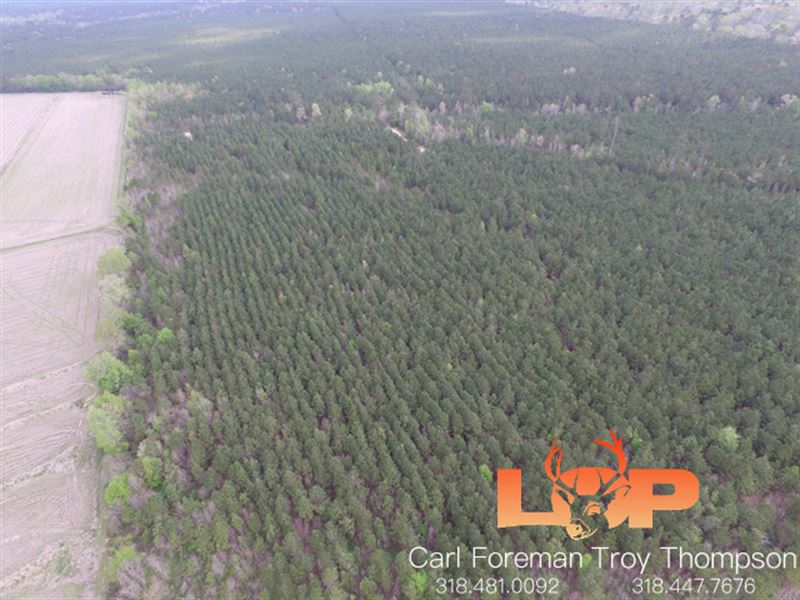 709+/ Ac Elton, Jeff Davis Parish, Farm for Sale in Louisiana, 272598