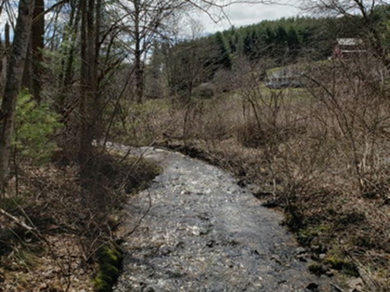 Acreage, Creek and Views Close to : Troutdale : Grayson County : Virginia