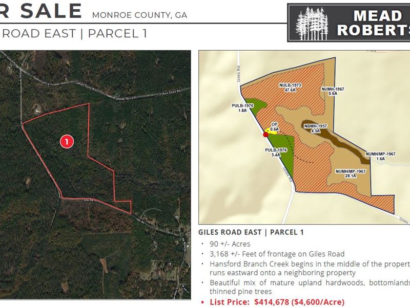 Giles Road East : Forsyth : Monroe County : Georgia