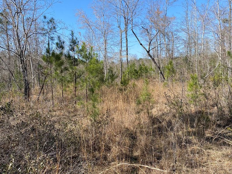 Keens Crossing : East Dublin : Laurens County : Georgia