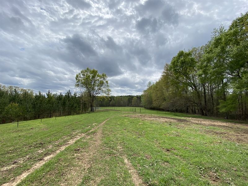 Pasture Land with Nice Brick Home : Hatchechubbee : Russell County : Alabama