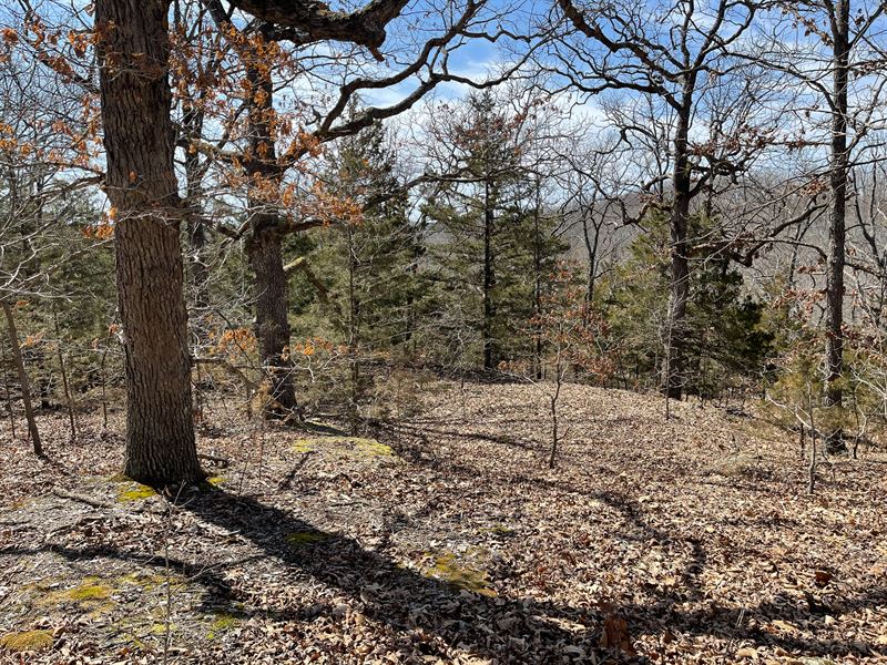 10 Acres, Lake Of The Ozarks, MO, Farm for Sale by Owner in Missouri
