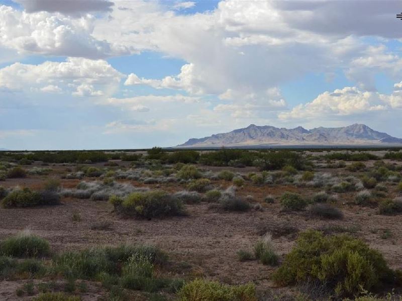 Five Acre Deming New Mexico Spread, Farm for Sale by Owner in New Mexico, 273390 FARMFLIP