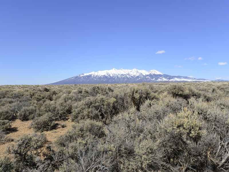 Beautiful Land with Mountain Views : Blanca : Costilla County : Colorado