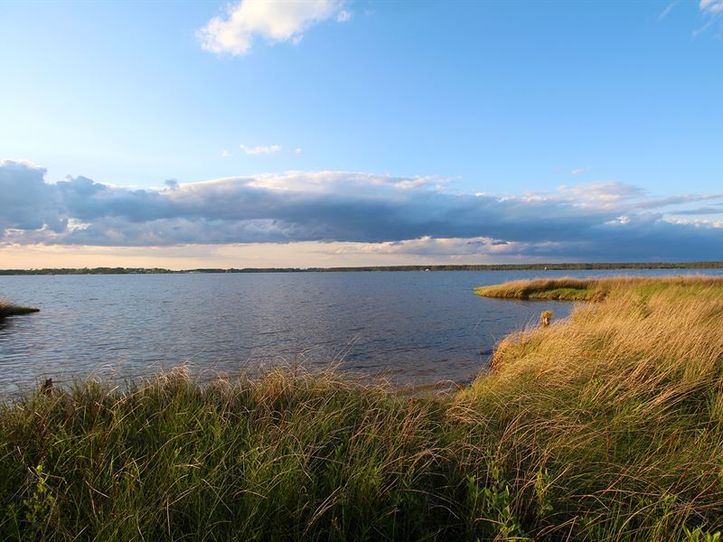 This Auction Has Been Postponed : Merritt : Pamlico County : North Carolina