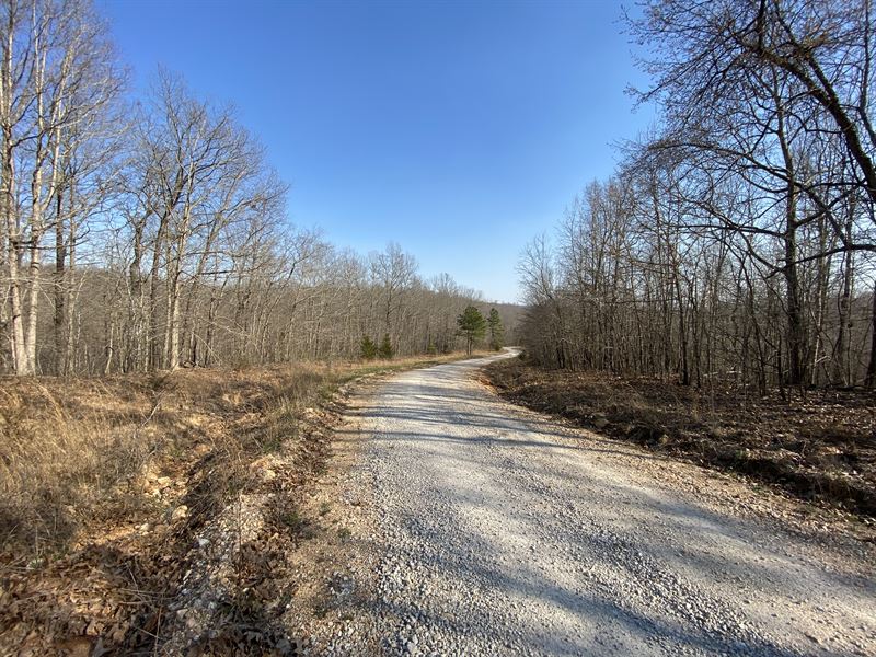 Secluded Wooded Land for Sale in MO, Farm for Sale in Missouri, 273533