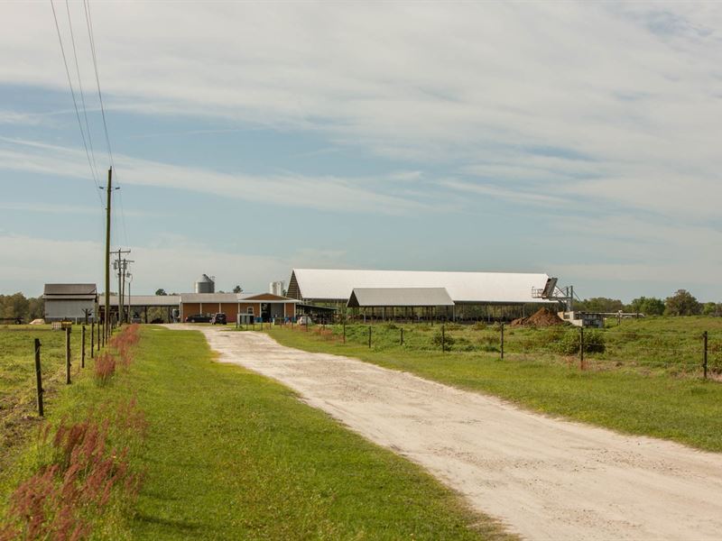 Fully Functioning Dairy Farm Live, Farm for Sale in Florida, 273747