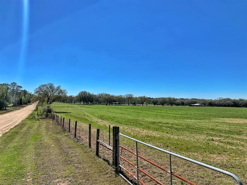 Beautiful 10+ Acre Tract, Homes, Farm for Sale in Florida, 273791