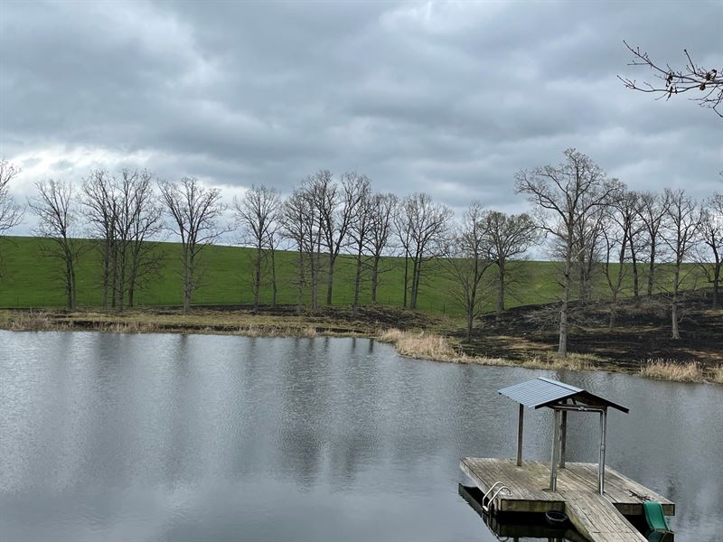 Cattle Ranch in Southern Missouri : Plato : Texas County : Missouri