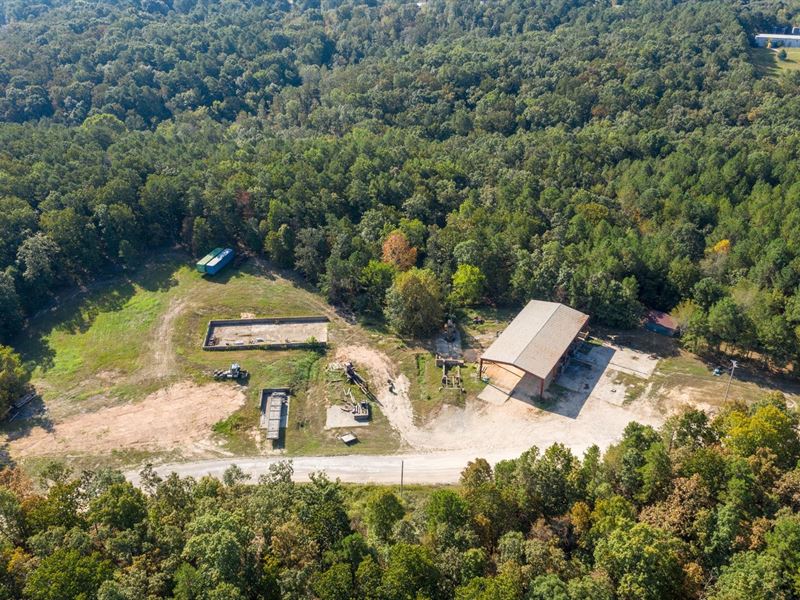 Commercial Land Acreage Hohenwald, Farm for Sale in Tennessee, 274011