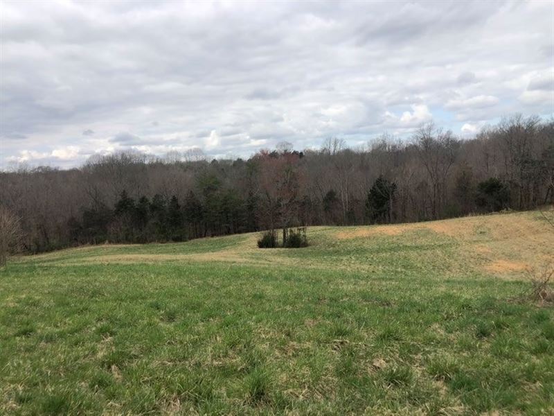 Land Albany, Ky, Clinton County, Farm for Sale in Kentucky, 274242
