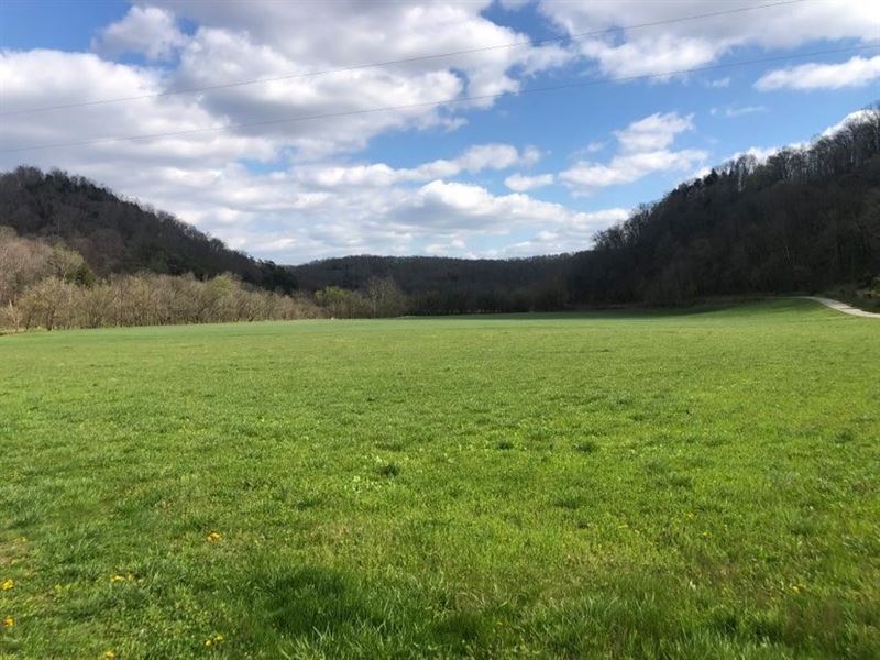 Farm/Hunting Acreage Burkesville, Farm for Sale in Kentucky, 274245