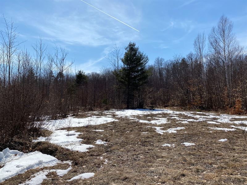 100 Acres Mountain View Land : Williamsburg : Piscataquis County : Maine
