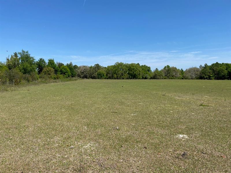 25 Acre Farm for Only 100,000, Farm for Sale in Florida, 274755