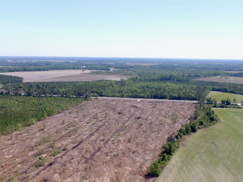 28+/- Acres Blackshear Hwy : Baxley : Appling County : Georgia