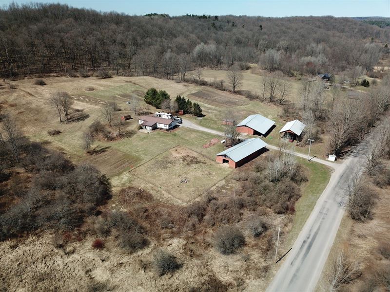 Gentleman's Farm Close to Village, Farm for Sale in New York, 275016
