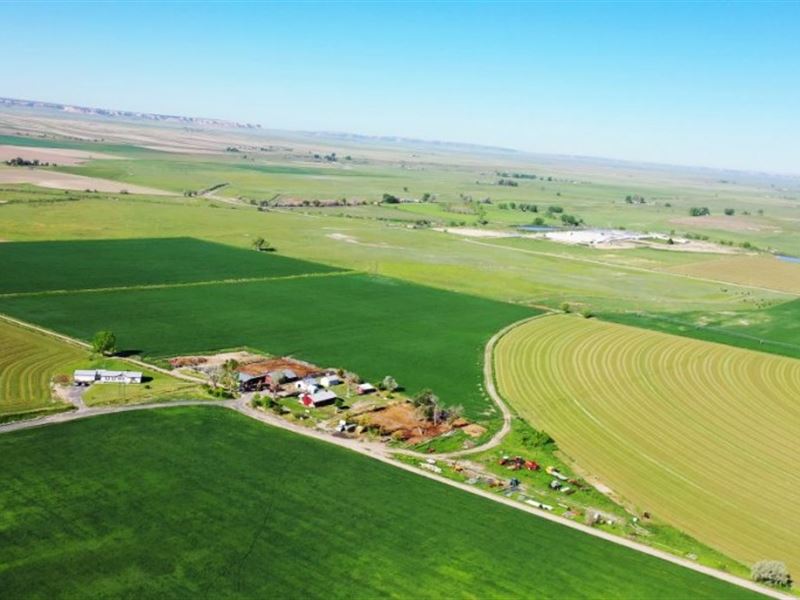Lyman Irrigated Farm : Lyman : Scotts Bluff County : Nebraska
